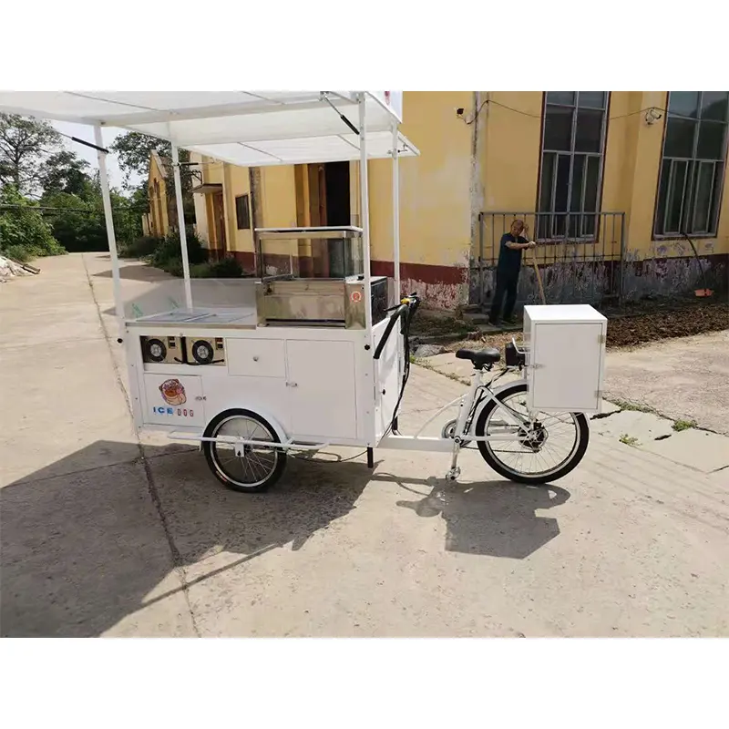 Lett Push and Pedal Snack Bike